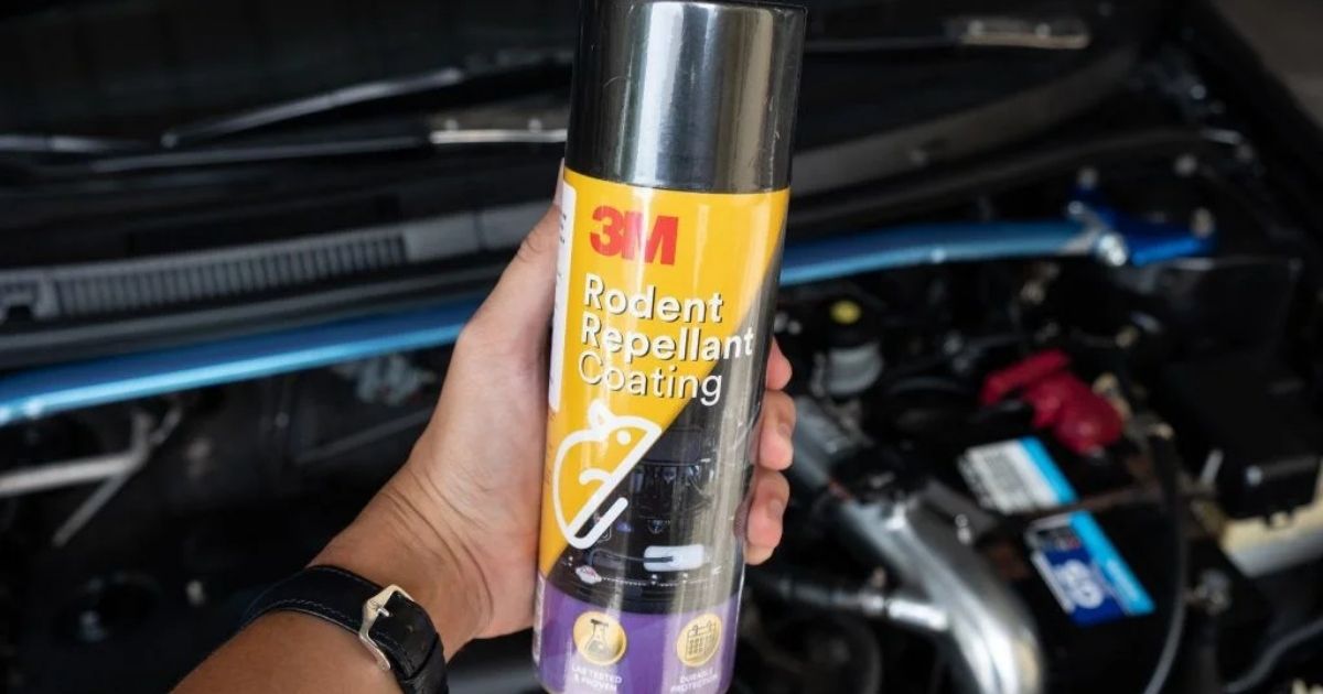 Chai Xịt Chống Chuột 3M Là Gì? Cơ Chế Hoạt Động Và Ứng Dụng Thực Tế